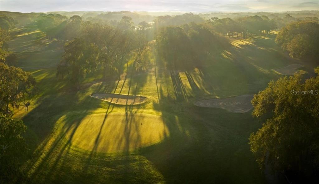 An aerial view of a golf course green surrounded by trees and sand bunkers — 1614 SANDHILL COURT, PALM HARBOR, FL
