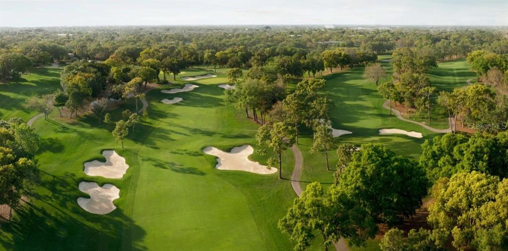 An aerial view of a lush green golf course featuring multiple sand bunkers and trees — 1614 SANDHILL COURT, PALM HARBOR, FL