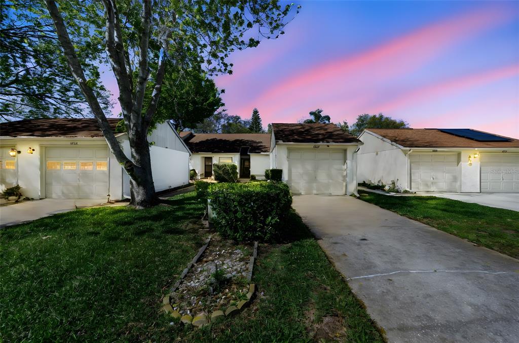 11717 SPRING TREE LANE