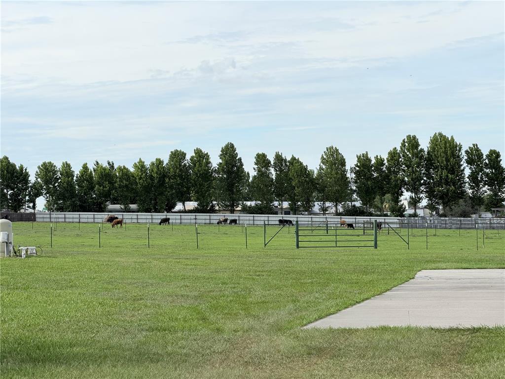 A grassy pasture with several grazing cattle is enclosed by a fence before a tree line — 6102 DOWNING STREET, DOVER, FL