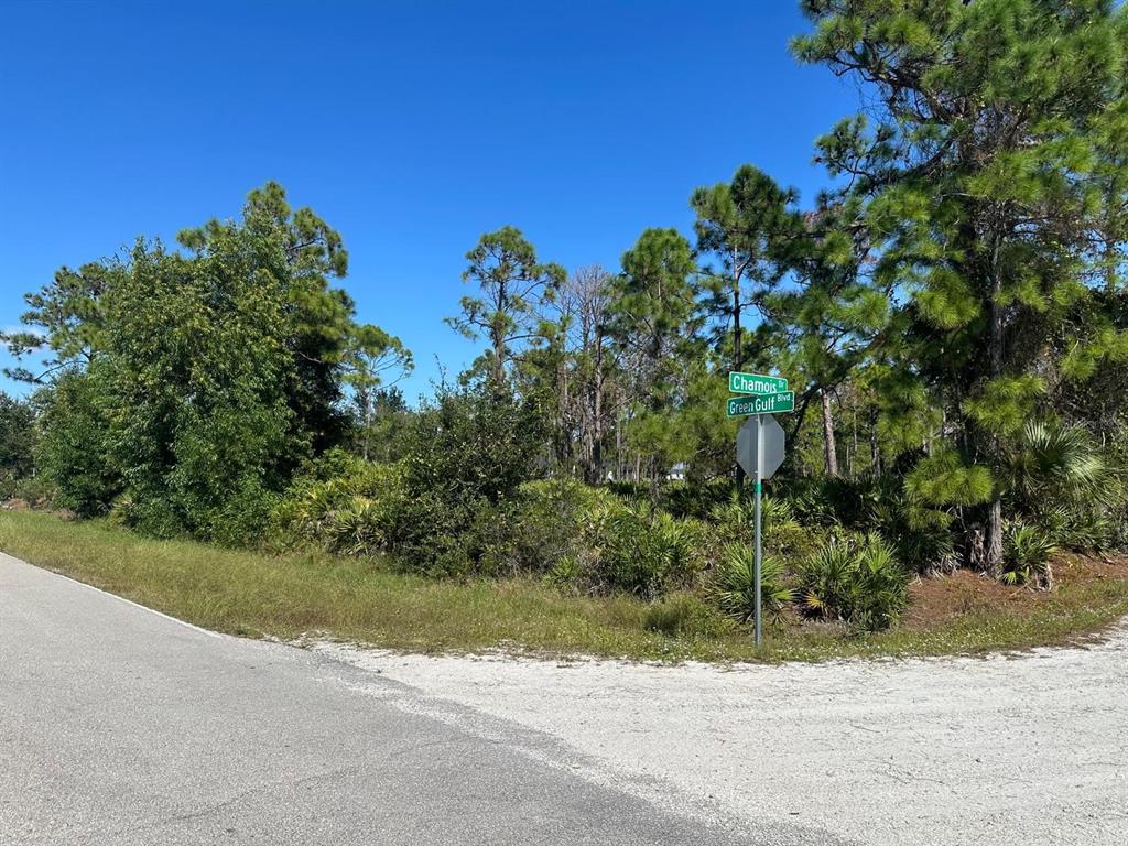A street sign marks the corner of a wooded, undeveloped lot at a paved intersection — 27028 CHAMOIS DRIVE, PUNTA GORDA, FL