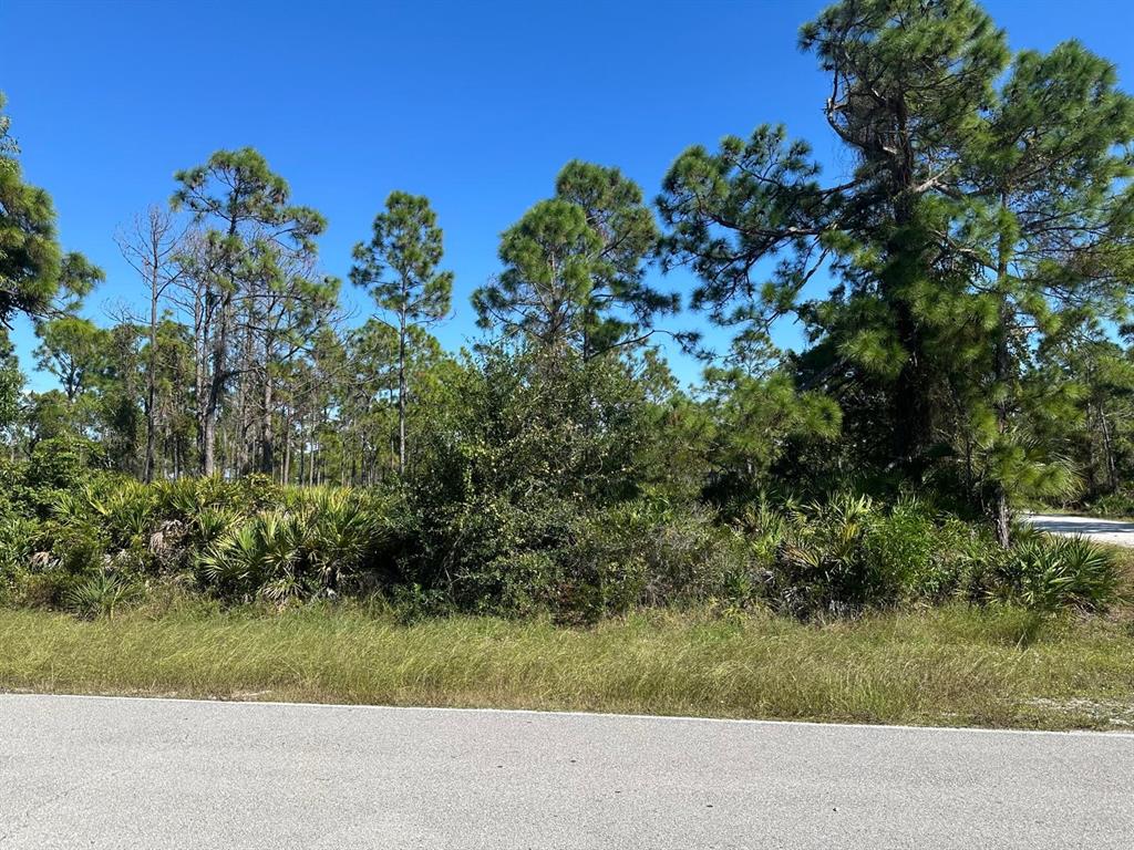 A paved road runs in front of a wooded lot with pine trees and palmettos — 27028 CHAMOIS DRIVE, PUNTA GORDA, FL