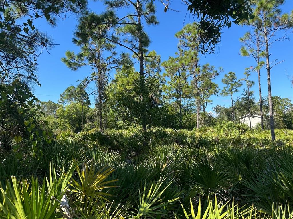 A vacant, wooded lot filled with saw palmetto bushes and tall pine trees — 27028 CHAMOIS DRIVE, PUNTA GORDA, FL