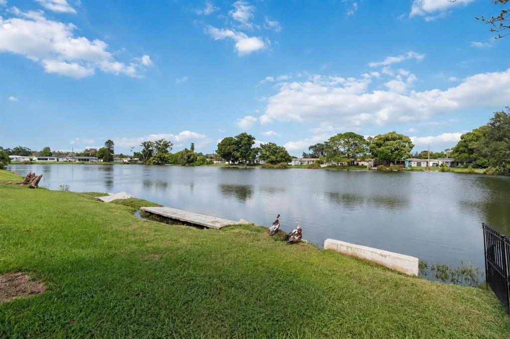 A grassy backyard overlooks a calm pond with a small dock and two ducks — 2044 PAMELA DRIVE, HOLIDAY, FL