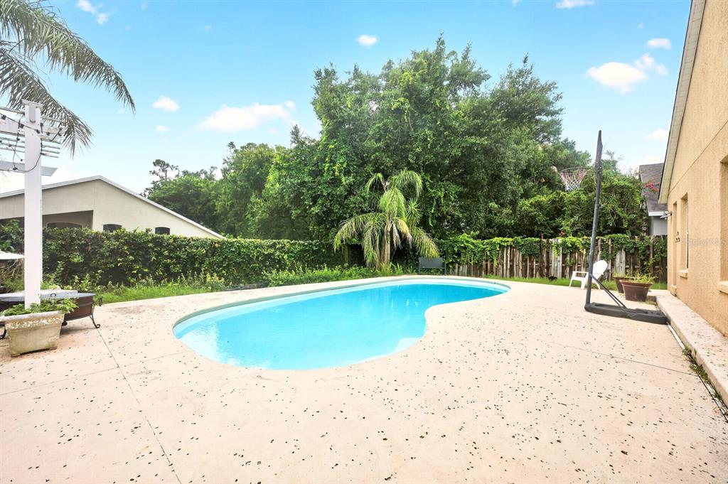 A backyard features a kidney-shaped swimming pool, a concrete patio, and a wooden privacy fence — 2551 WALNUT HEIGHTS ROAD, APOPKA, FL