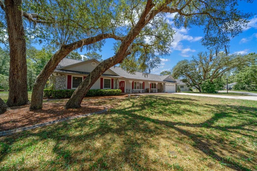 A single-story house with stone accents, red shutters, and a large tree in the yard — 11 SYCAMORE COURT W, HOMOSASSA, FL