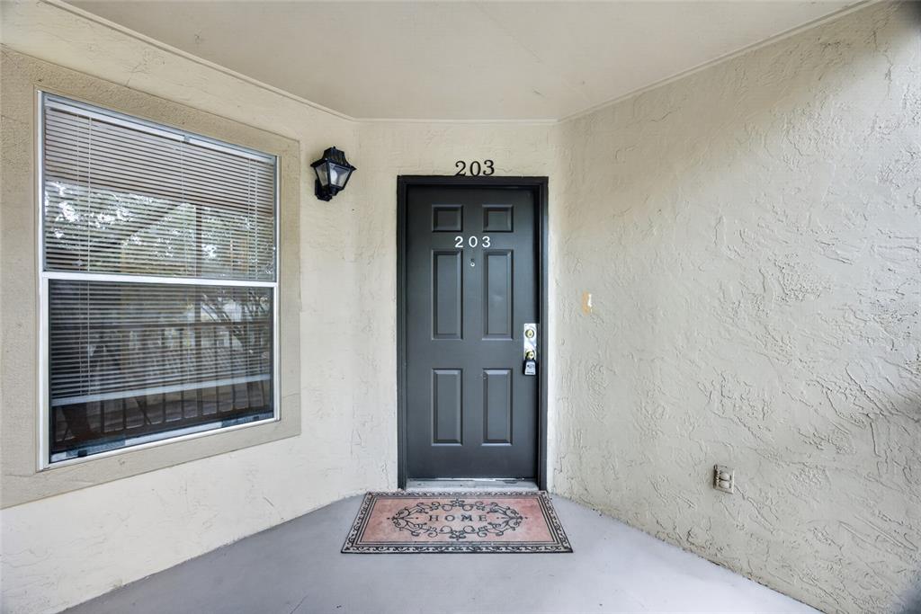A dark gray front door with the number 203 sits under a porch light — 642 DORY LANE UNIT 203, ALTAMONTE SPRINGS, FL