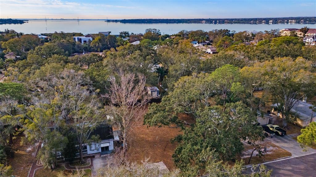 An aerial view shows a house with a large yard surrounded by trees near water — 503 BUCKINGHAM AVENUE W, OLDSMAR, FL