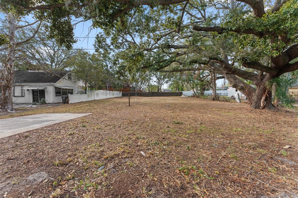 A vacant, leaf-covered lot is bordered by large trees and a white privacy fence — 503 BUCKINGHAM AVENUE W, OLDSMAR, FL