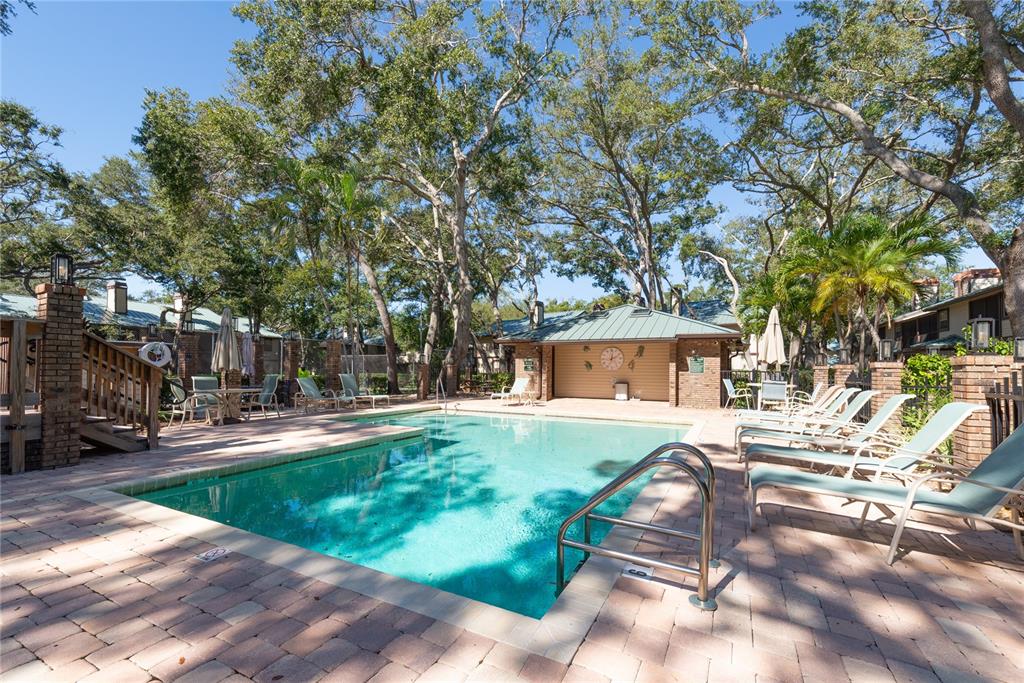 A swimming pool with lounge chairs on a brick patio surrounded by trees and buildings — 1471 MAHOGANY LANE UNIT 1706, PALM HARBOR, FL
