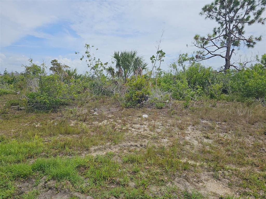 A vacant, overgrown lot features sandy soil, scattered shrubs, and a tall pine tree — 15093 ACORN CIRCLE, PORT CHARLOTTE, FL