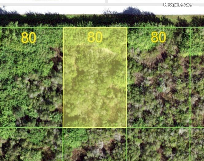 This is an aerial map view showing a highlighted rectangular plot of land — 12105 NEWGATE AVENUE, PORT CHARLOTTE, FL