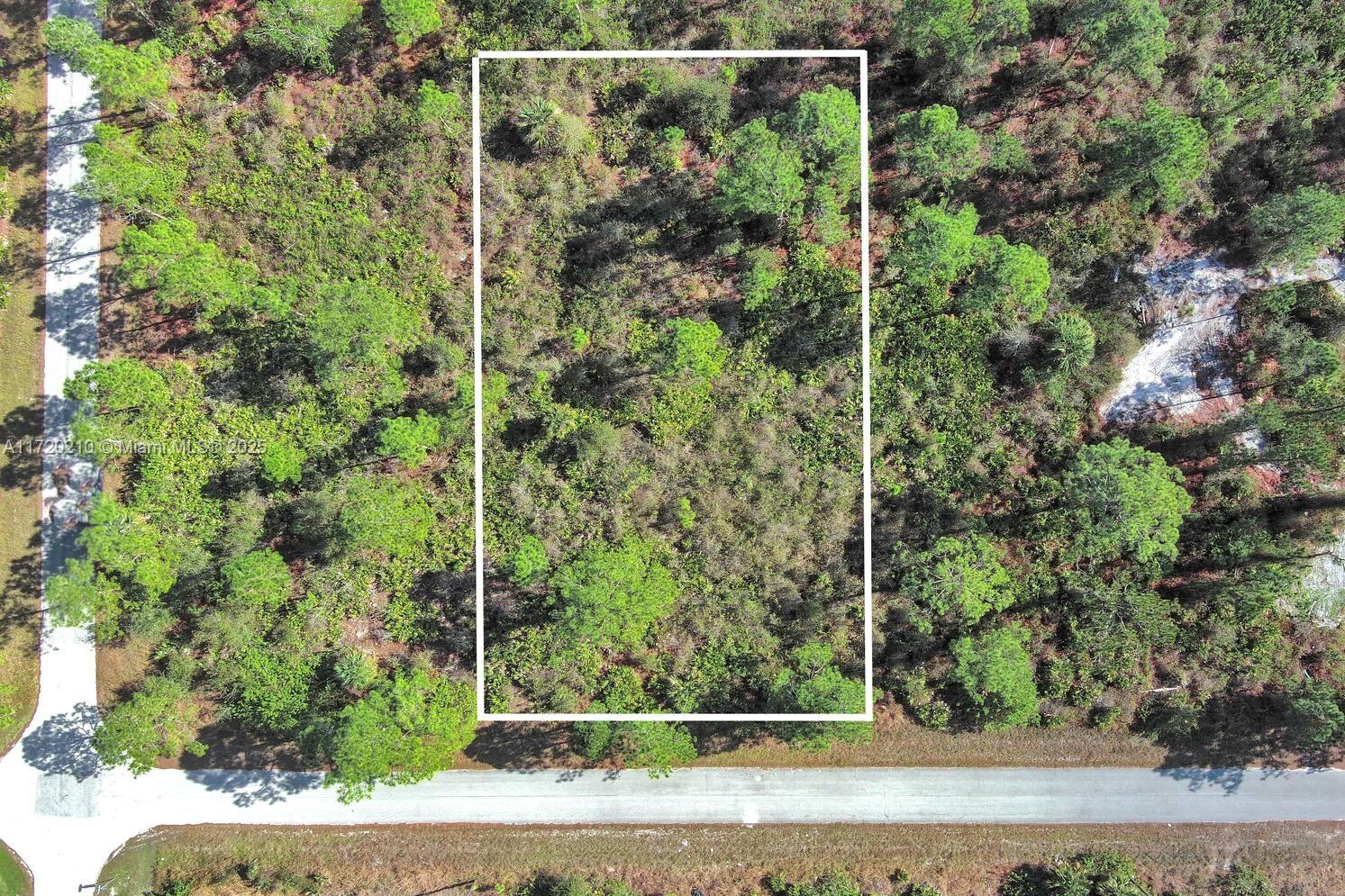 An aerial view shows a rectangular plot of undeveloped, wooded land outlined in white — 1020 Lake Ave, Lehigh Acres FL 33972, LEHIGH ACRES, FL
