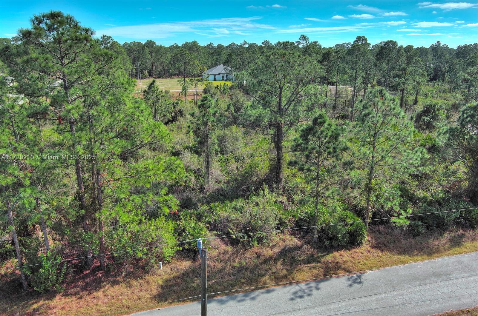 An aerial view shows a wooded, undeveloped lot next to a paved road and house — 1020 Lake Ave, Lehigh Acres FL 33972, LEHIGH ACRES, FL