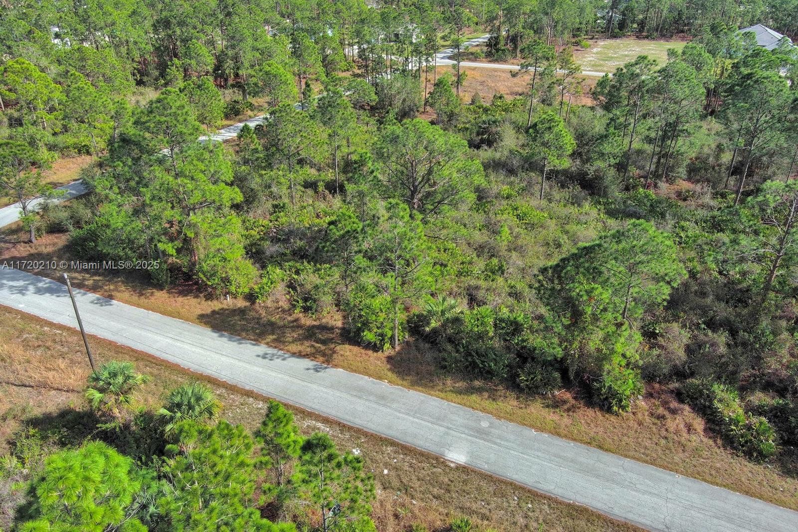 An aerial view shows a paved road running through a wooded, undeveloped lot — 1020 Lake Ave, Lehigh Acres FL 33972, LEHIGH ACRES, FL