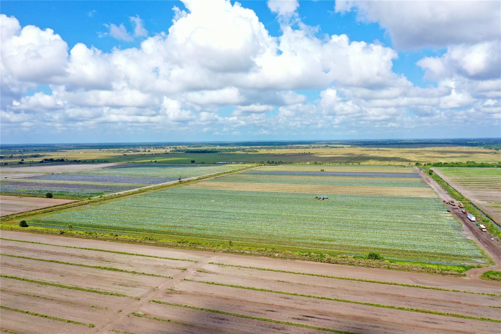 An aerial view shows a large, flat agricultural field under a bright, cloudy blue sky — 23481 NW 144th Avenue, Okeechobee FL 34972, OKEECHOBEE, FL