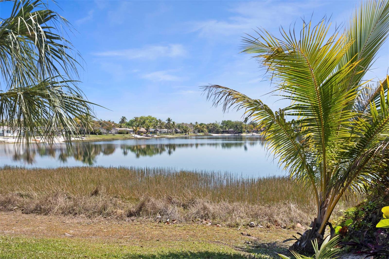 A view of a calm lake framed by palm trees and tall shoreline grasses — 11807 SW 112th Ave, Miami FL 33176, MIAMI, FL