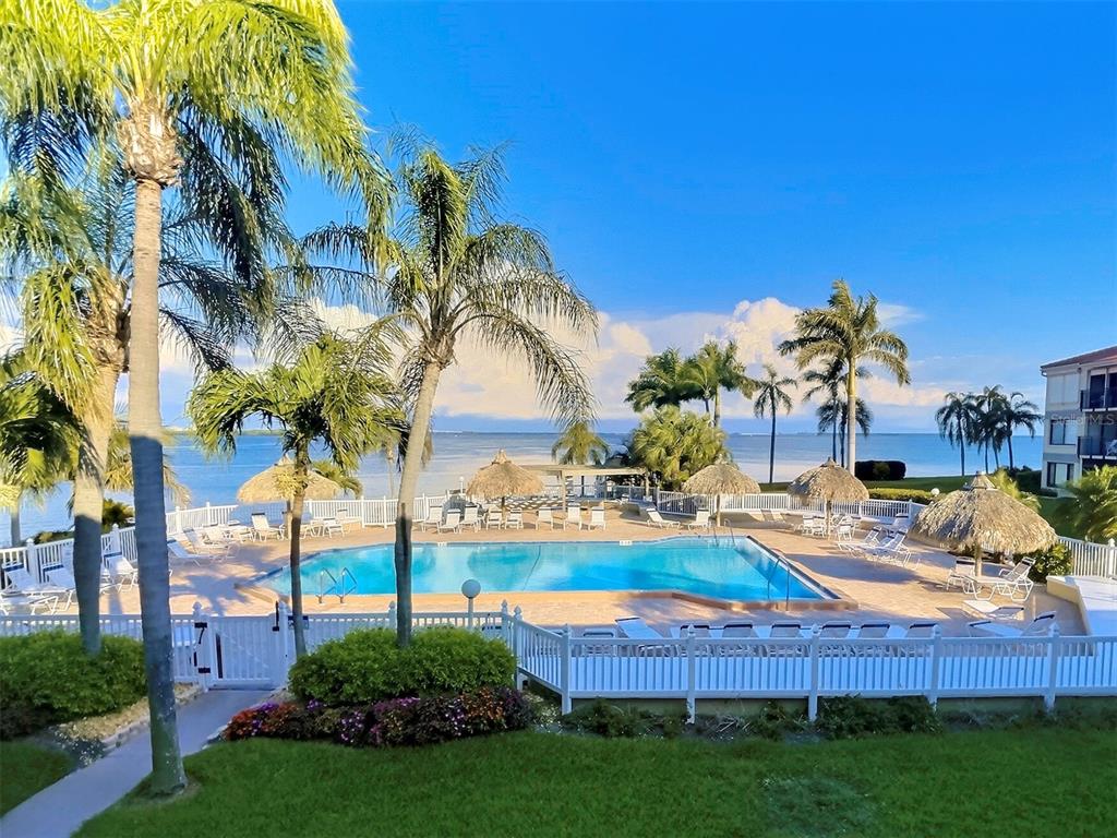 A swimming pool with lounge chairs and tiki umbrellas overlooks a large body of water — 6322 PALMA DEL MAR BOULEVARD S UNIT 213, ST PETERSBURG, FL