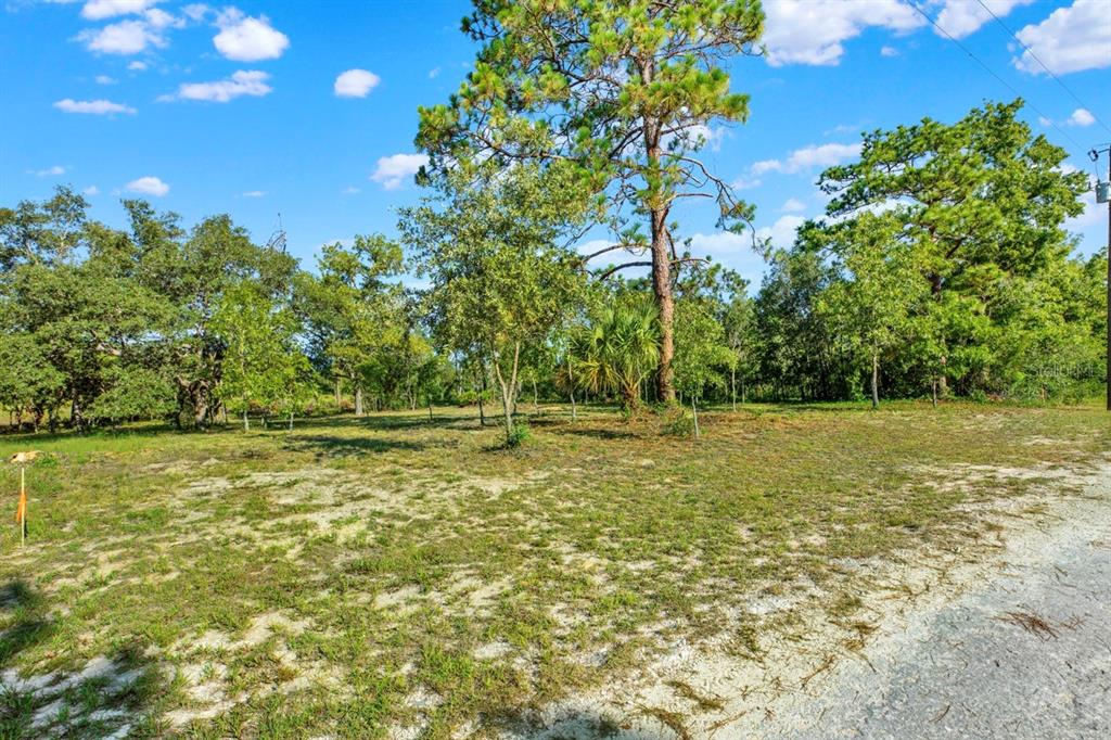 A vacant, grassy lot with scattered trees and a blue sky in the background — 0 CONDOR ROAD, BROOKSVILLE, FL