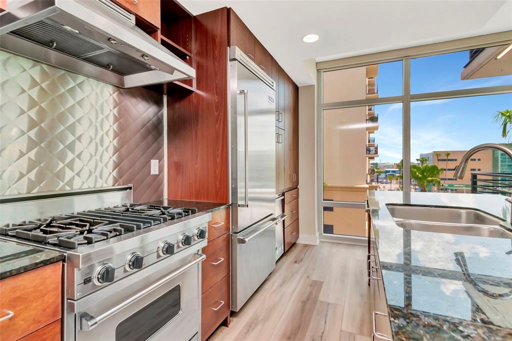 A modern kitchen features stainless steel appliances, dark wood cabinetry, and a view of buildings — 1208 E KENNEDY BOULEVARD UNIT 419, TAMPA, FL