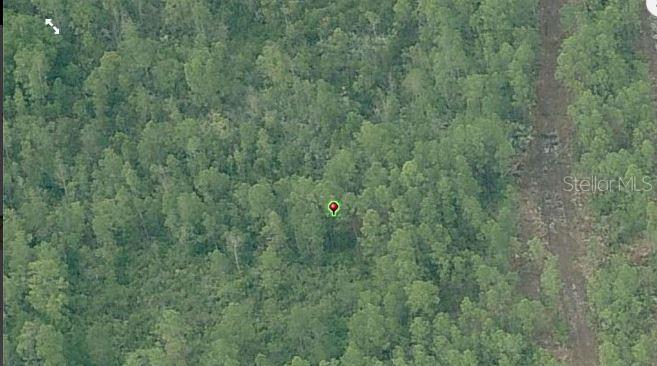 An aerial view shows a red map pin marking a location within a dense forest — FORT CHRISTMAS ROAD, ORLANDO, FL