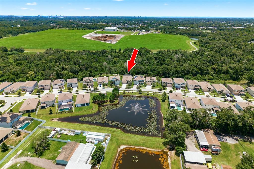 An aerial view shows a suburban neighborhood with a pond and a red arrow pointing to a house — 8216 PRAISE DRIVE, TAMPA, FL