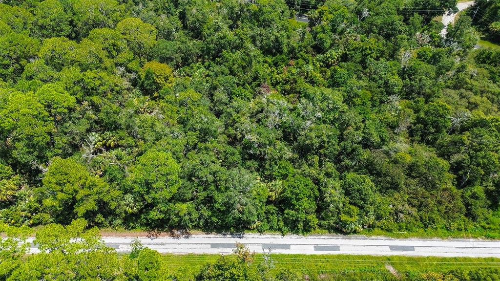 An aerial view shows a dense, wooded lot bordering a paved road — 8683 N BELLFLOWER WAY, CRYSTAL RIVER, FL