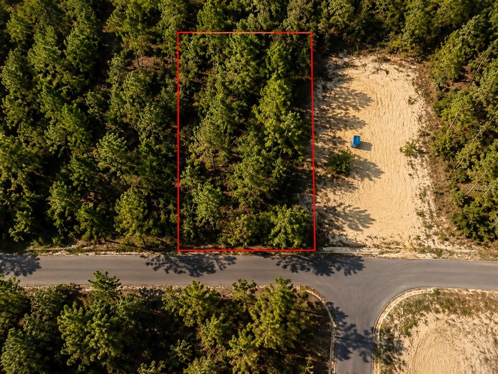 An aerial view shows a rectangular wooded lot outlined in red next to a cleared area — SEQUOIA TRAIL TRAK, OCKLAWAHA, FL