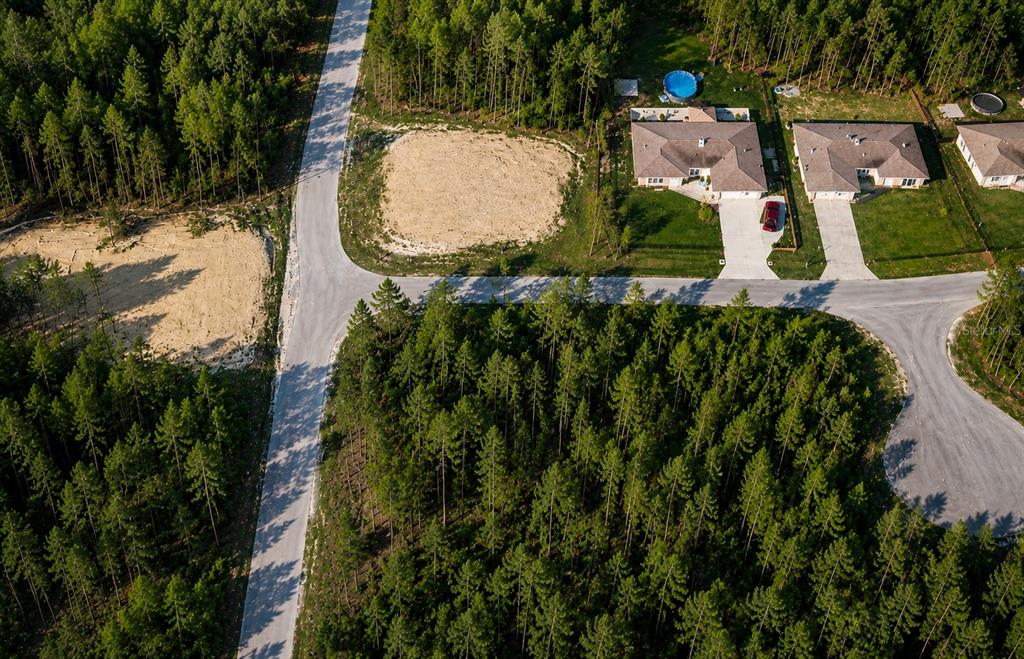 An aerial view shows a paved road winding through a wooded area with cleared lots — SEQUOIA TRAIL TRAK, OCKLAWAHA, FL