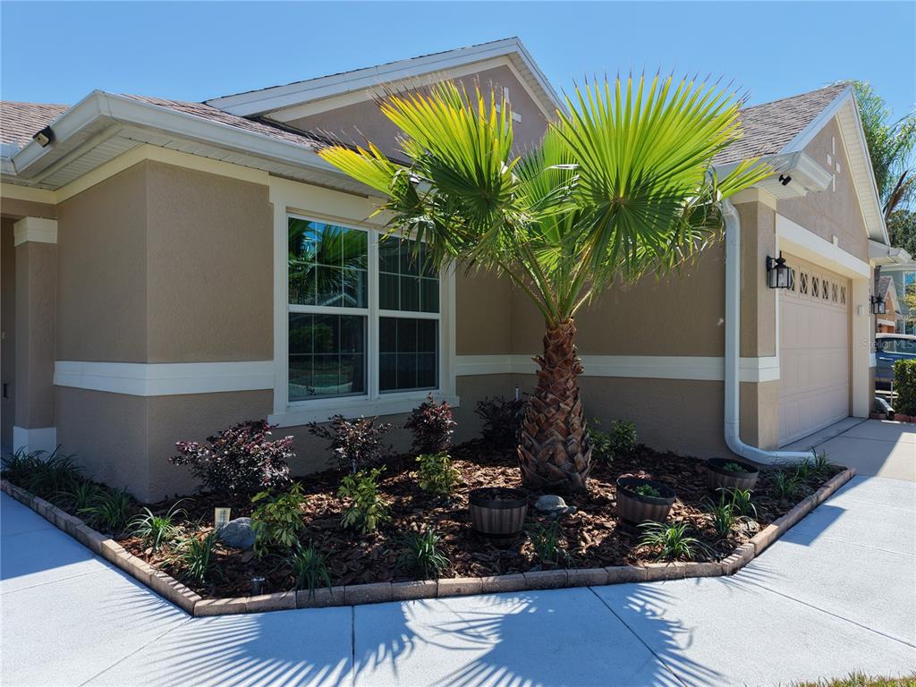 A tan house exterior features a palm tree in a mulched garden bed near the garage — 15637 CARINA DR, ORLANDO, FL