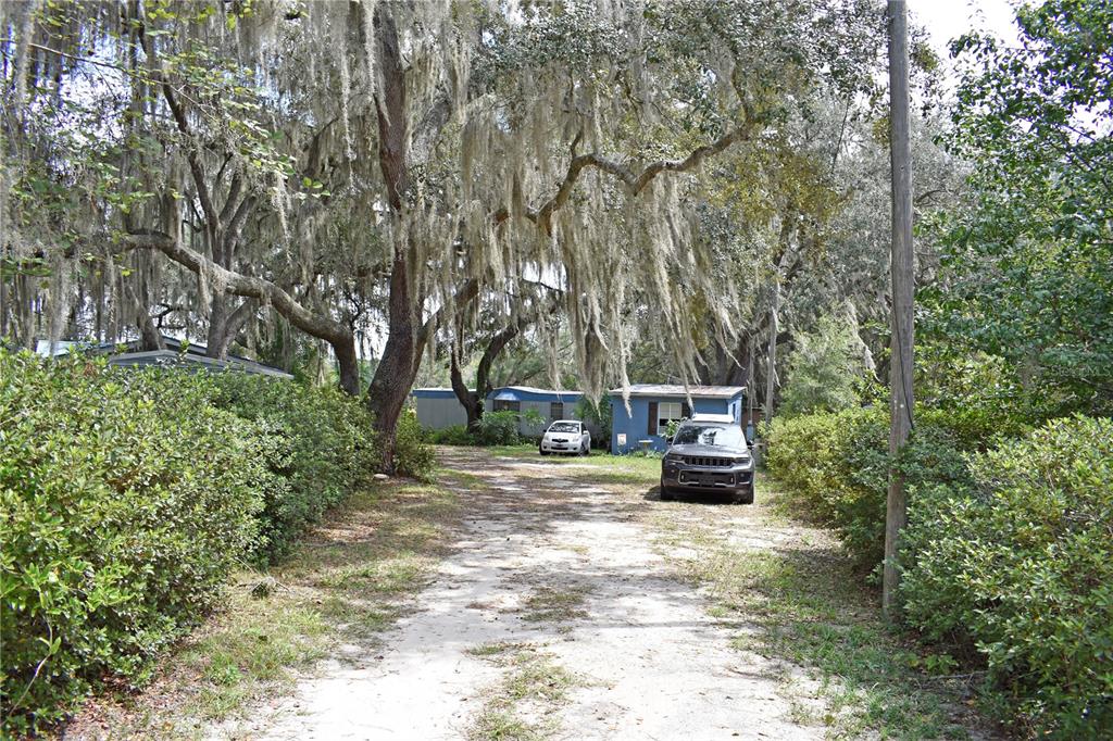 A dirt driveway leads toward two mobile homes shaded by large, moss-covered oak trees — 148 SWAN LAKE DRIVE, MELROSE, FL