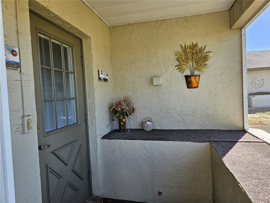 A white door with a window opens from a carpeted porch into a living room — 1905 CANTERBURY LANE UNIT E-9, SUN CITY CENTER, FL