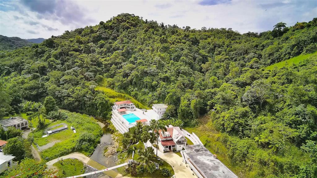 135 VILLA PEREZ, ADJUNTAS, PR — photo 2 of 29