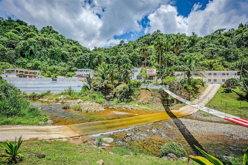 135 VILLA PEREZ, ADJUNTAS, PR — photo 5 of 29