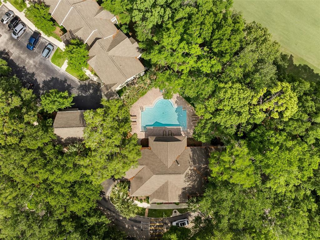 An aerial view shows a swimming pool nestled between residential buildings and dense green trees — 10000 SW 52ND AVENUE UNIT 35, GAINESVILLE, FL