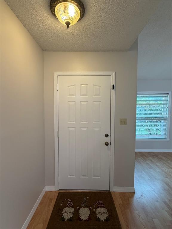 An entryway features a white door, light wood flooring, a ceiling light, and a gnome mat — 3727 DUNWICH AVENUE, ORLANDO, FL
