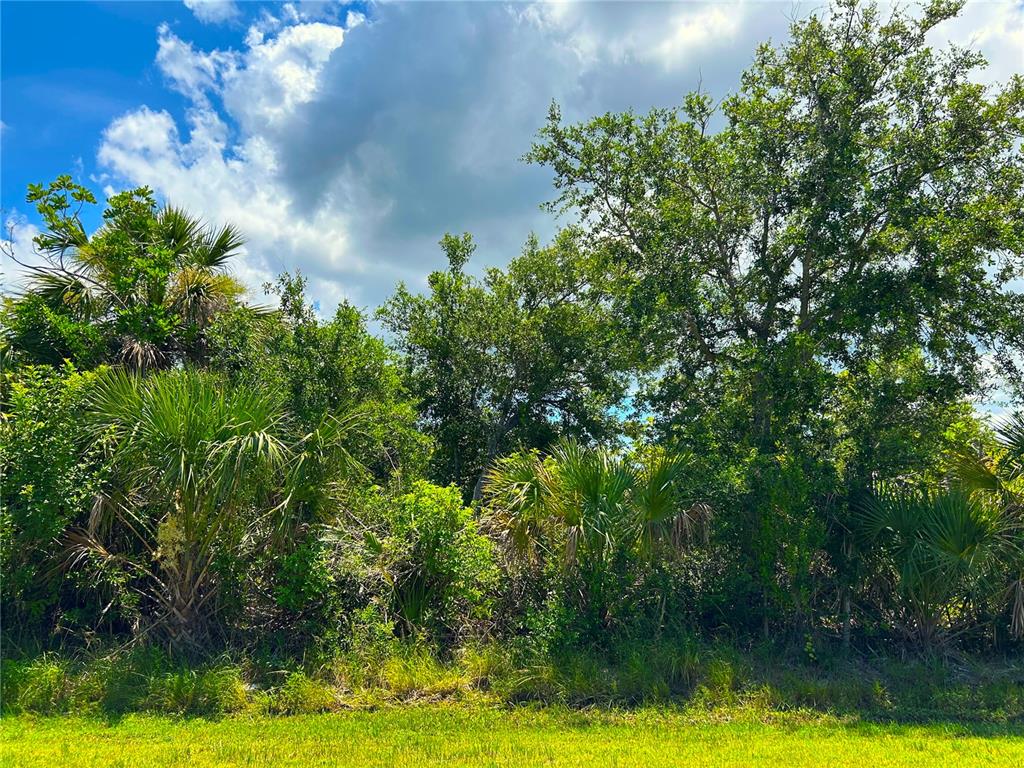 A dense cluster of trees and palm plants stands behind a patch of green grass — 7140 FANCY STREET, ENGLEWOOD, FL