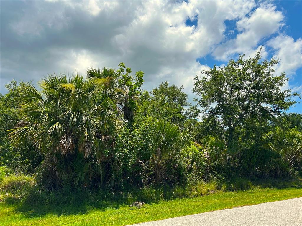 A grassy roadside borders a dense thicket of palm trees and various green foliage — 7140 FANCY STREET, ENGLEWOOD, FL
