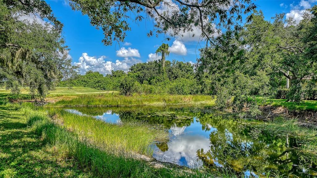 A small pond sits in the foreground of a grassy landscape surrounded by mature trees — 3331 HADFIELD GREENE UNIT 49, SARASOTA, FL