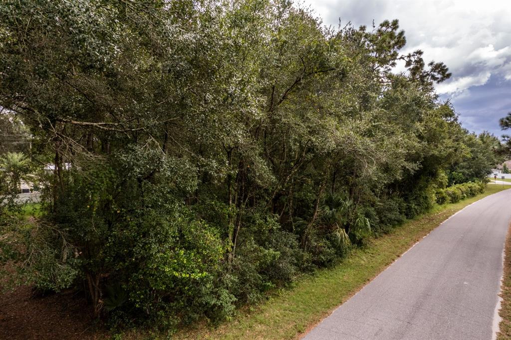 INTERLACHEN DRIVE, MOUNT PLYMOUTH, FL — photo 2 of 15