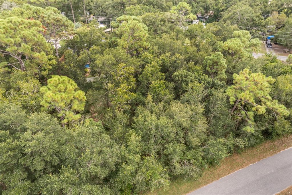 INTERLACHEN DRIVE, MOUNT PLYMOUTH, FL — photo 4 of 15