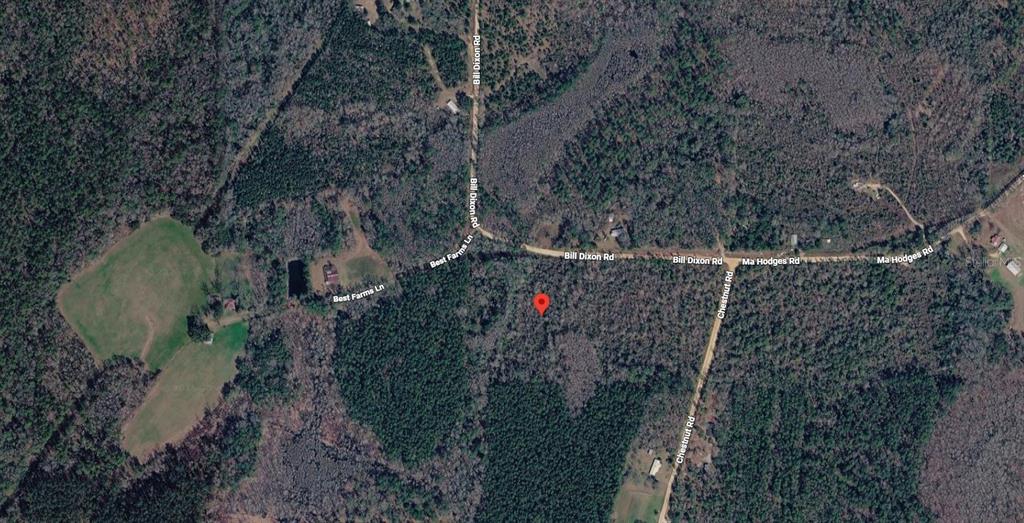 This is a satellite map view showing a wooded lot near a road intersection — BILL DIXON ROAD, GRACEVILLE, FL