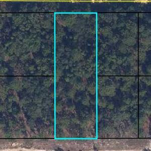 6183 Juilliard Avenue, FL 32656