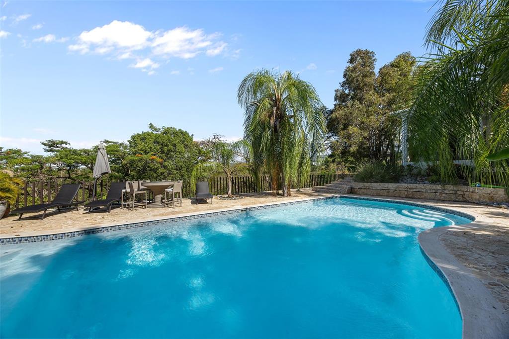 A backyard swimming pool features a stone deck, patio furniture, and surrounding palm trees — 3 CARLOTA STREET, GUAYAMA, PR