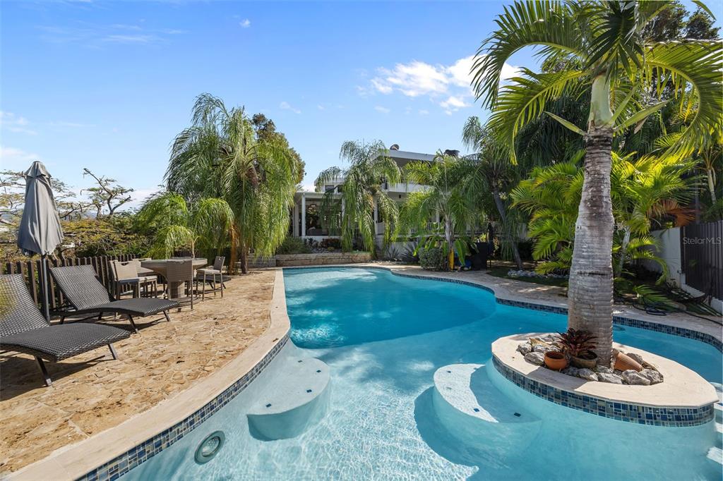A swimming pool with a central palm tree island sits on a stone patio — 3 CARLOTA STREET, GUAYAMA, PR