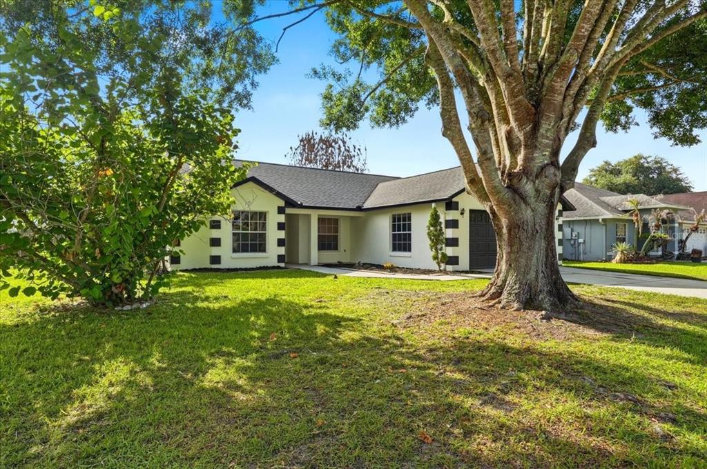A single-story house with white stucco walls, black trim, and a large tree in front — 4209 RED BIRD AVENUE, ST CLOUD, FL