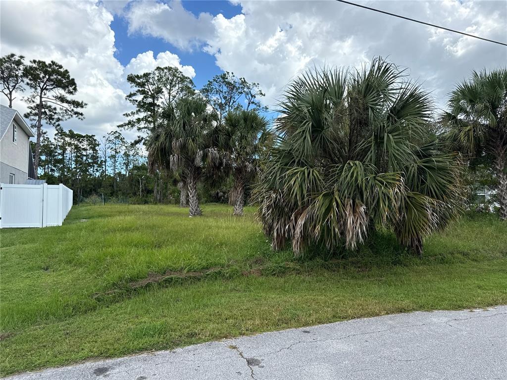 A grassy vacant lot features several palm trees and a white vinyl fence — 67 PRESIDENTIAL LANE, PALM COAST, FL