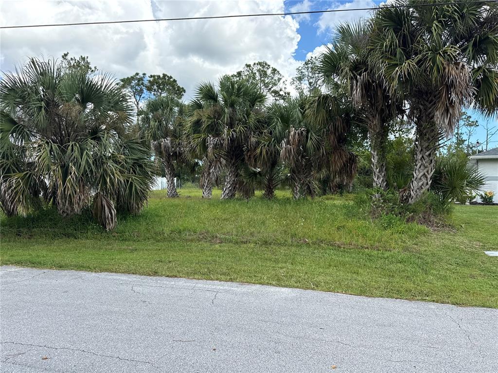 A grassy, undeveloped lot features several mature palm trees under a partly cloudy sky — 67 PRESIDENTIAL LANE, PALM COAST, FL