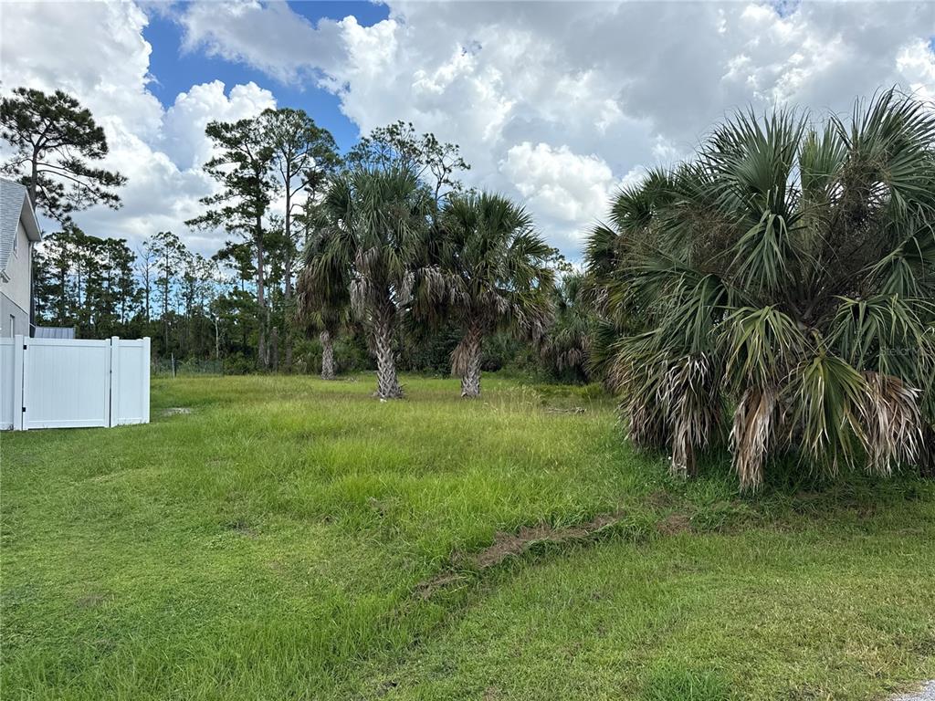 A grassy vacant lot features several palm trees and a white vinyl privacy fence — 67 PRESIDENTIAL LANE, PALM COAST, FL