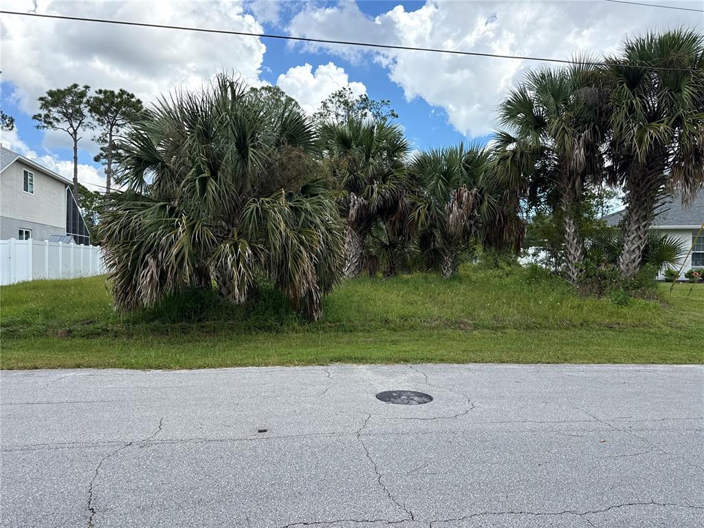 A vacant, grassy lot features several palm trees and is bordered by residential houses — 67 PRESIDENTIAL LANE, PALM COAST, FL